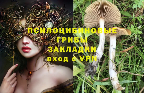 гидра Балахна
