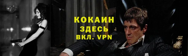 гидра Балахна